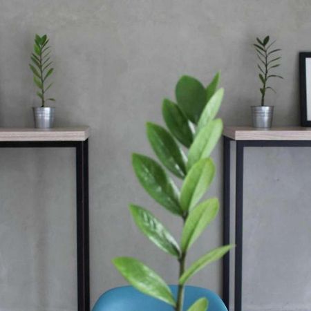 Casa Living Setiabudi Jakarta Jacarta Exterior foto
