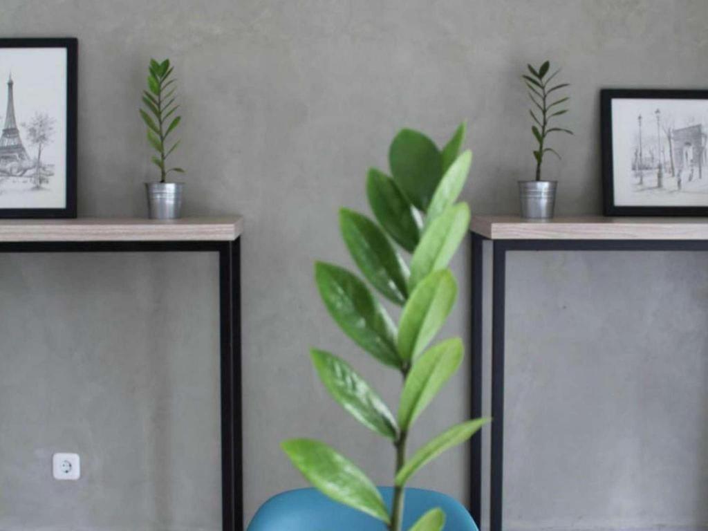 Casa Living Setiabudi Jakarta Jacarta Exterior foto